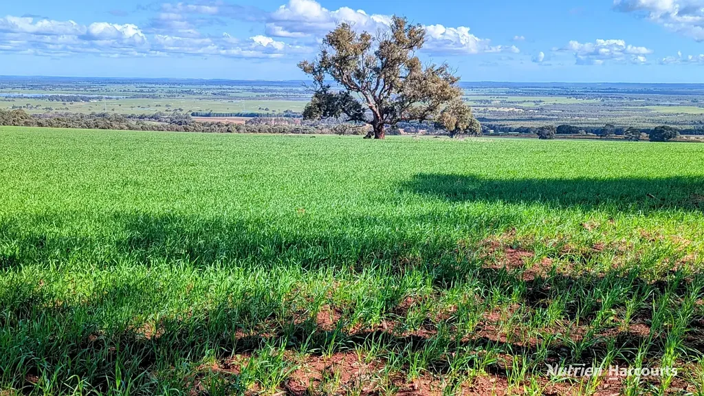 Gingin "Yukich Farm" - Cropping, Grazing, Horticulture