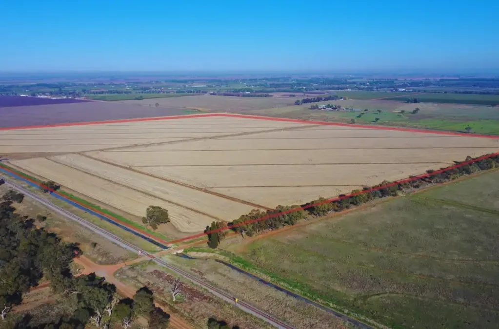Leeton  PRIME LAND FOR SALE