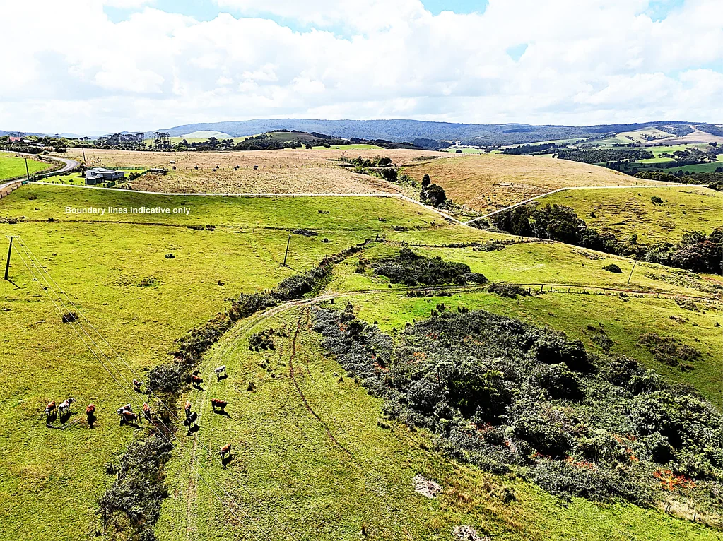 Dargaville Surrounds 43ha Grazing or Lifestyle Opportunity
