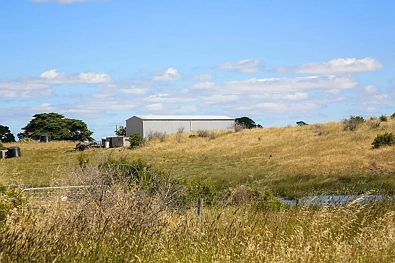 230 Cockerills Rd, Dreeite, VIC 3249, 0 habitaciones, 0 baños, Lifestyle Property