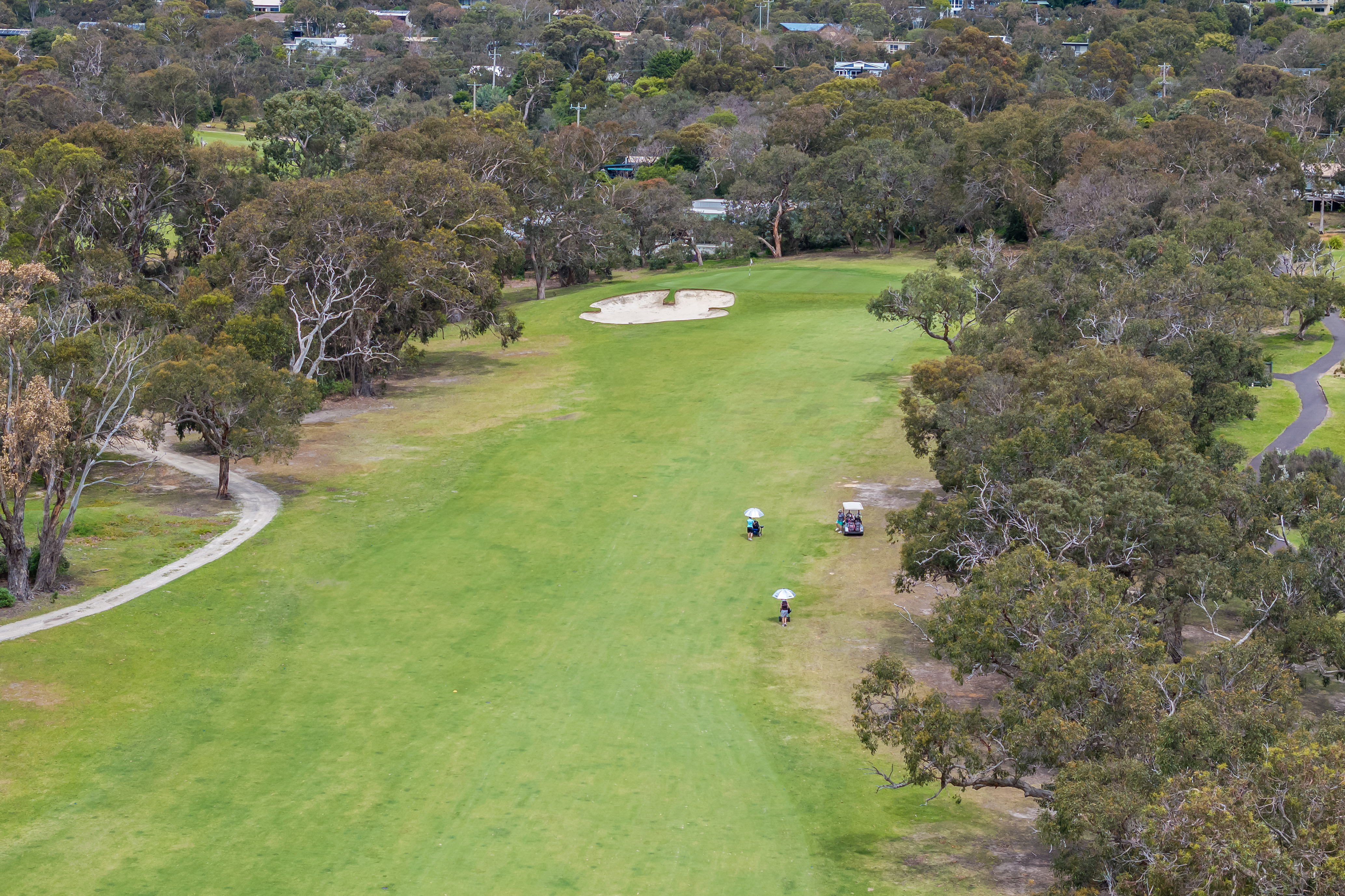 34 FAIRWAY DR, ANGLESEA VIC 3230, 0 Bedrooms, 0 Bathrooms, House