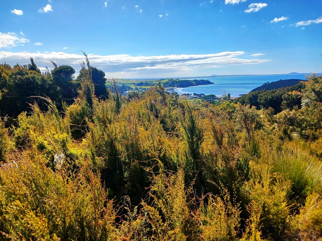Cable Bay  INVESTMENT OPPORTUNITY - PRICED TO SELL