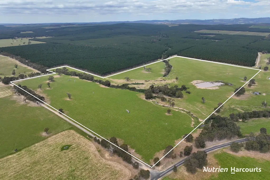 Flynn 115 Acres of Grazing Land