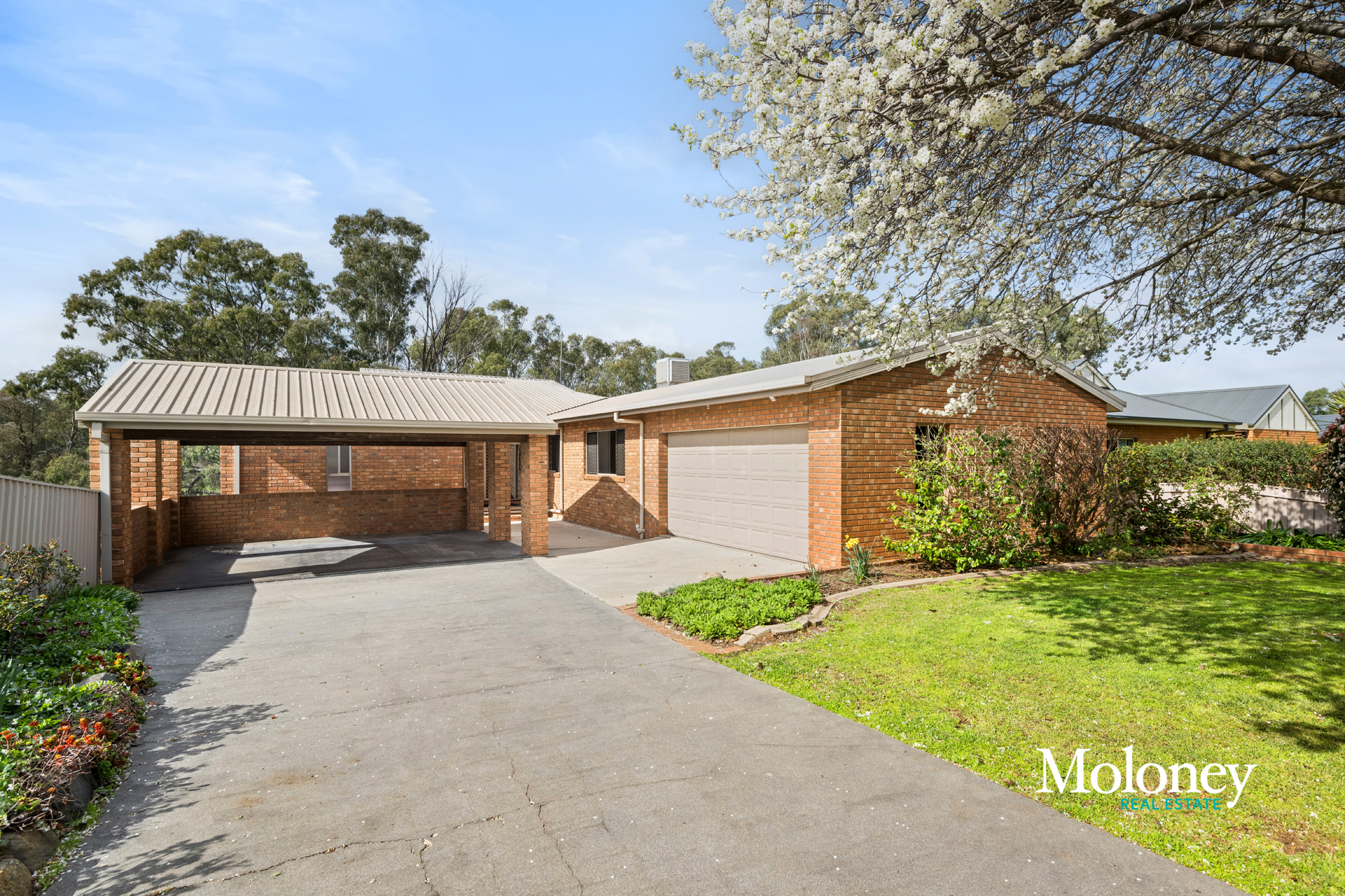 62 THOMAS AV, COROWA NSW 2646, 0 ਕਮਰੇ, 0 ਬਾਥਰੂਮ, House