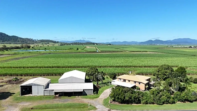 132 Stayts Road, Marian, QLD 4753, 4 Bedrooms, 2 Bathrooms, Lifestyle Property