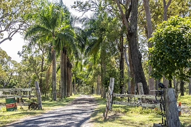 766 Coonarr Road, Coonarr, QLD 4670, 1 habitaciones, 1 baños, House