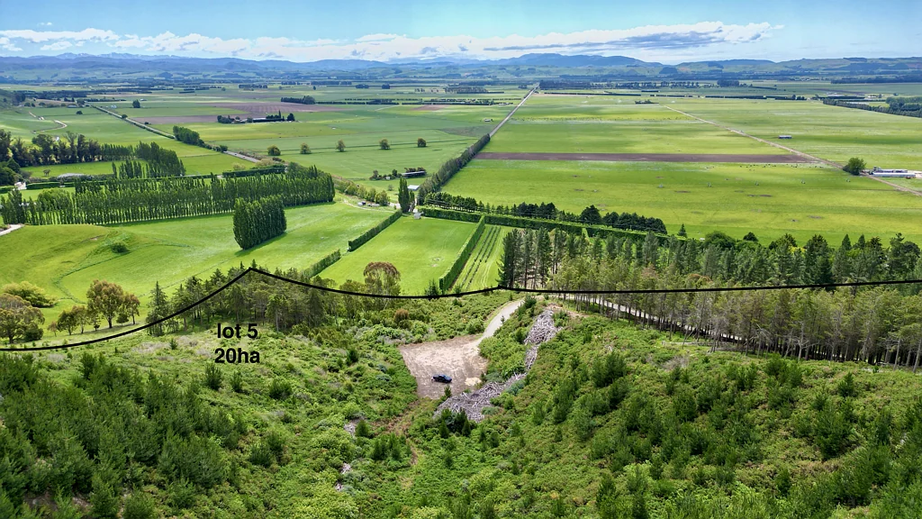 Oamaru  Specimen and Exotic Forest