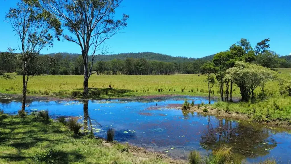 Kundabung  200 VACANT ACRES WITH PERMANENT CREEK