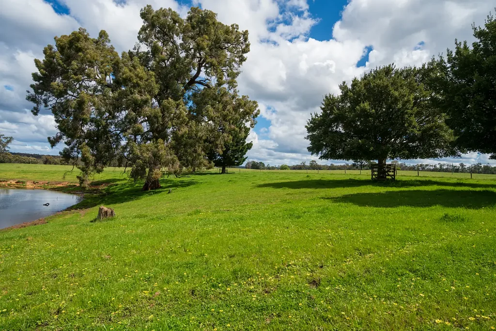 Manjimup Rare Earth - A Legacy Worth Owning!
