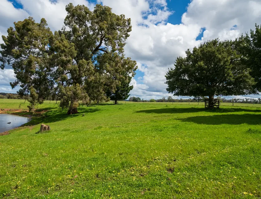 Lot 71 Muir Highway (Perup), Manjimup, WA 6258, 0 chambres, 0 salles de bain, Section