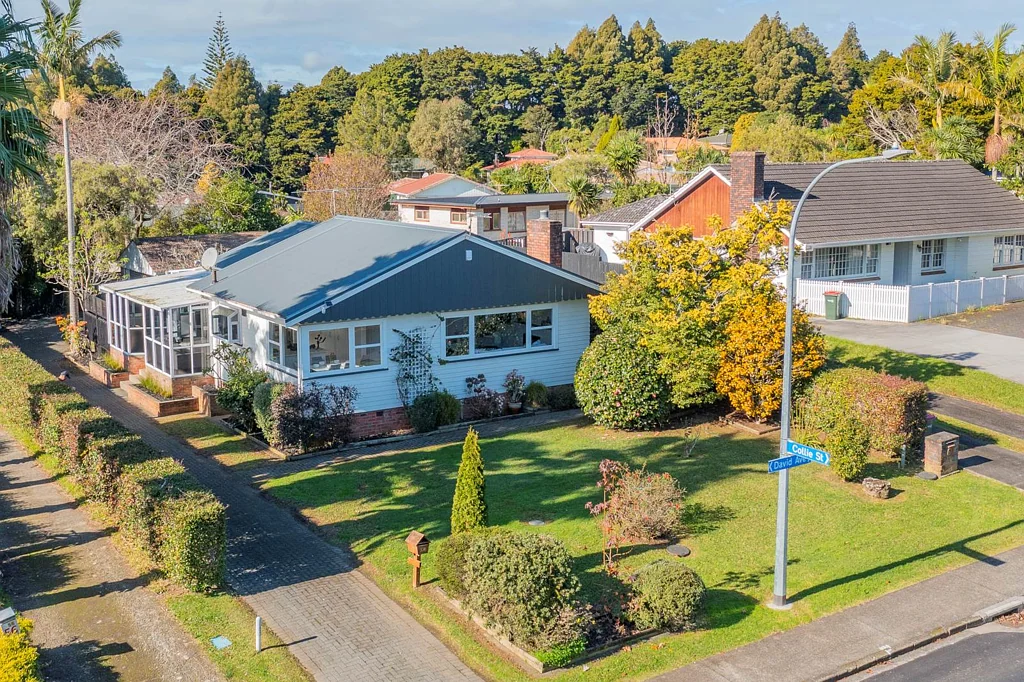 58 David Avenue, Hill Park, Manukau City, Auckland