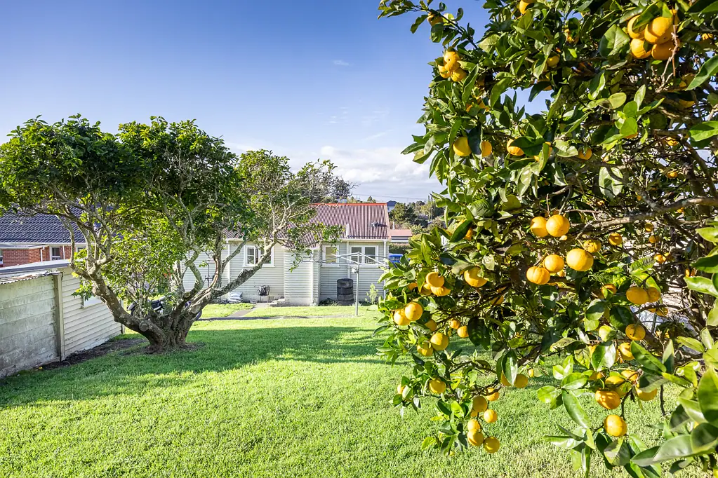 34 Plunket Street, Dargaville, Kaipara, Northland