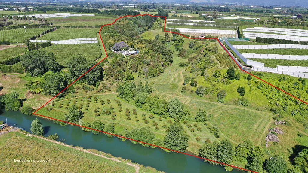 Te Puke Fabulous family lifestyle