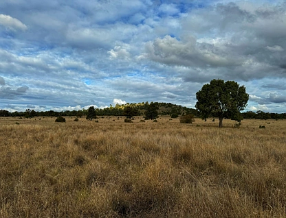 281 Gobondery Road, Tullamore, NSW 2874, 0 રૂમ, 0 બાથરૂમ, Lifestyle Property