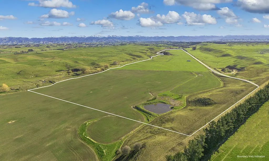 Ongaonga Productive Farm With Stunning View