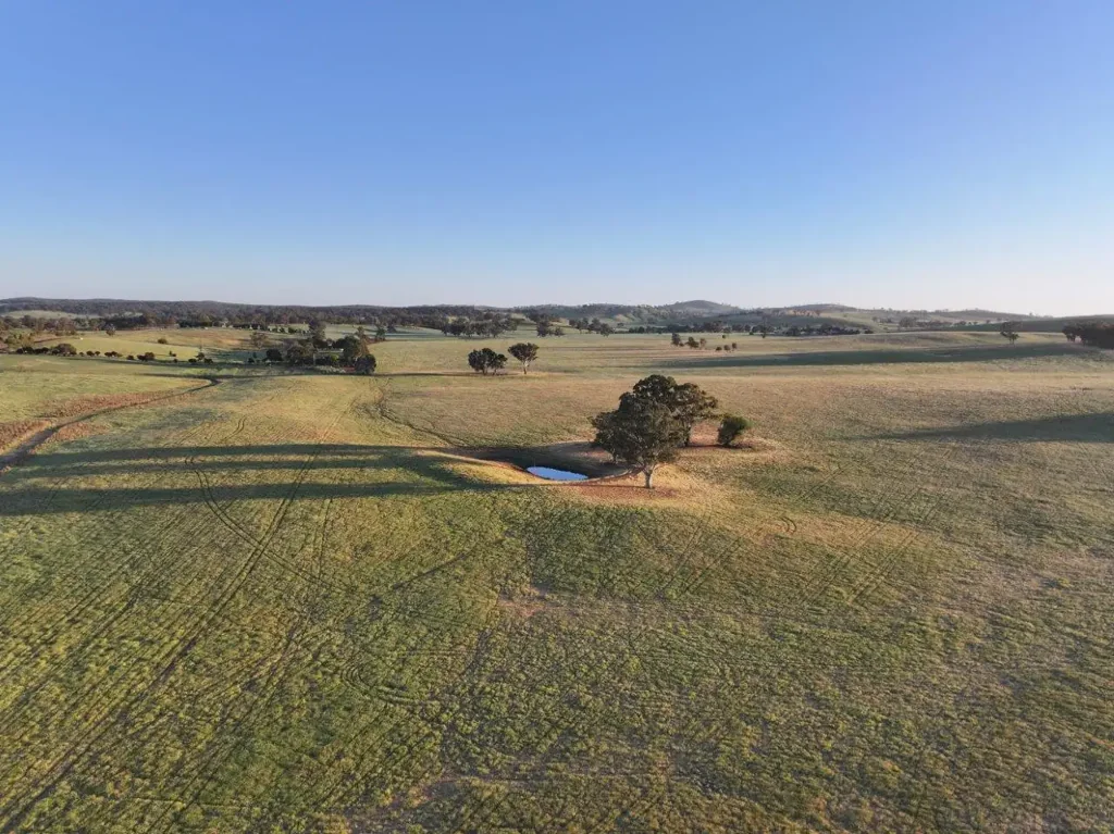 500 'Nunyara North' West Jindalee Rd, Cootamundra, NSW 2590