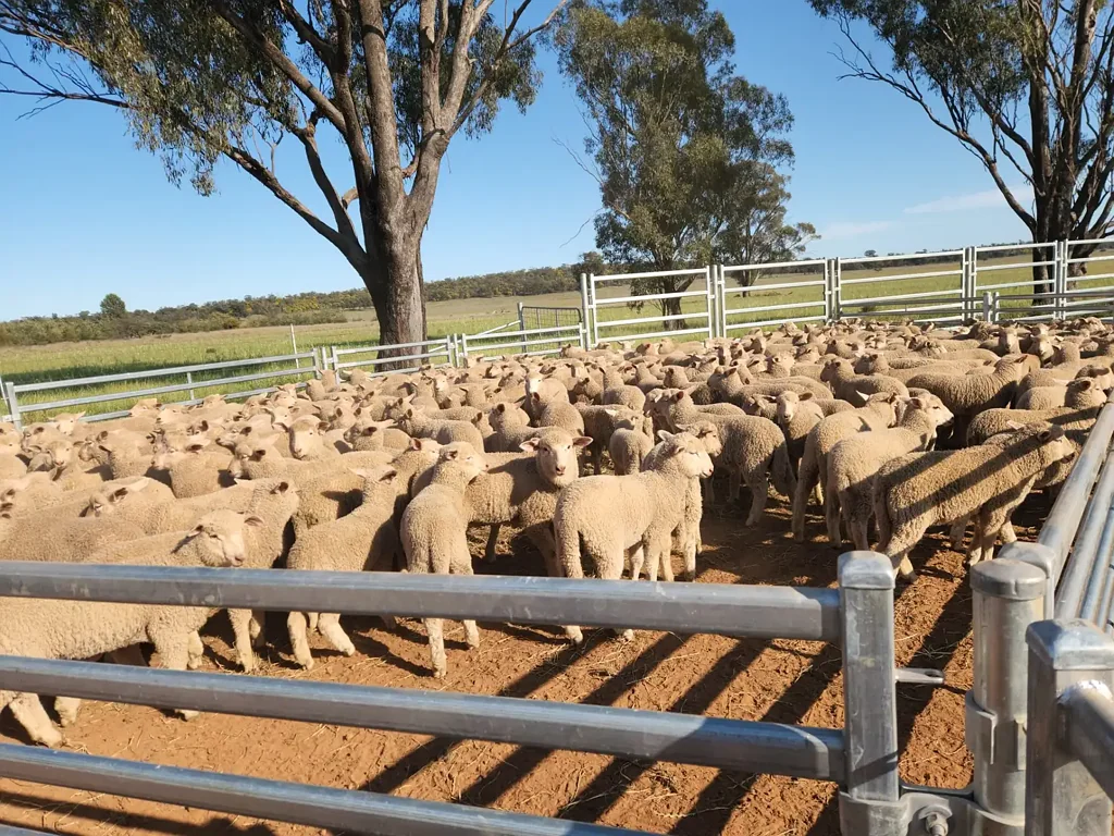Parkes Arguably the best value Cropping Country in the State with Impressive Infrastructure