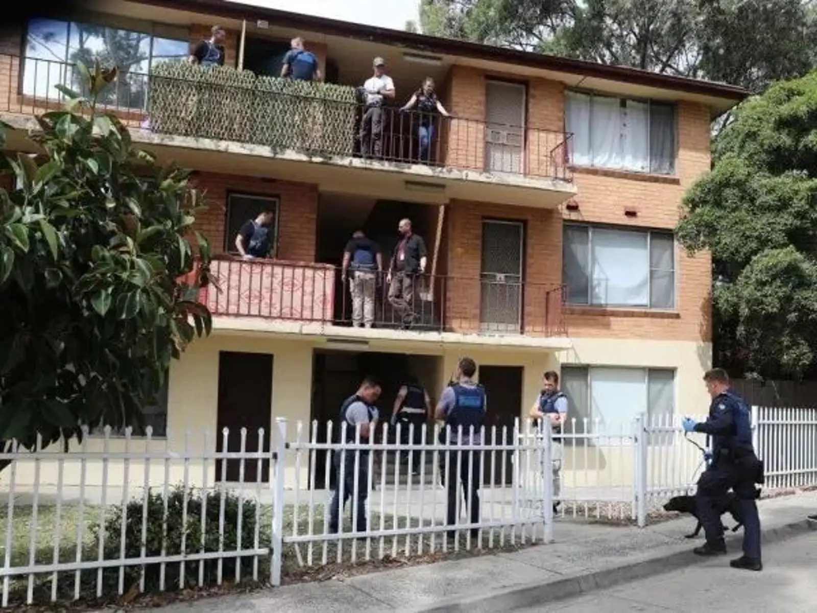 澳洲警方捣毁公共住房内“毒窝”，缴获毒品并抓捕4名涉案人员