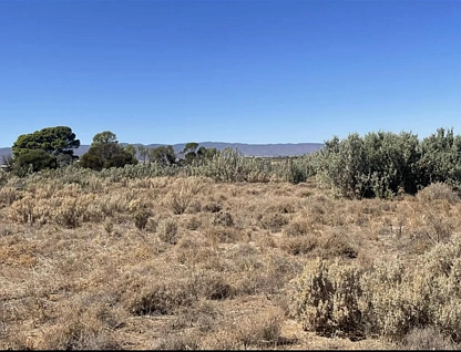587 Cottage Road, Port Germein, Barossa - Yorke - Mid North, 0 rūma, 0 rūma horoi, Section