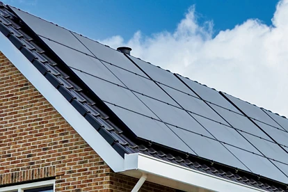 新西兰最大破产案！又一巨头倒下 ，留下近$10亿索赔黑洞！