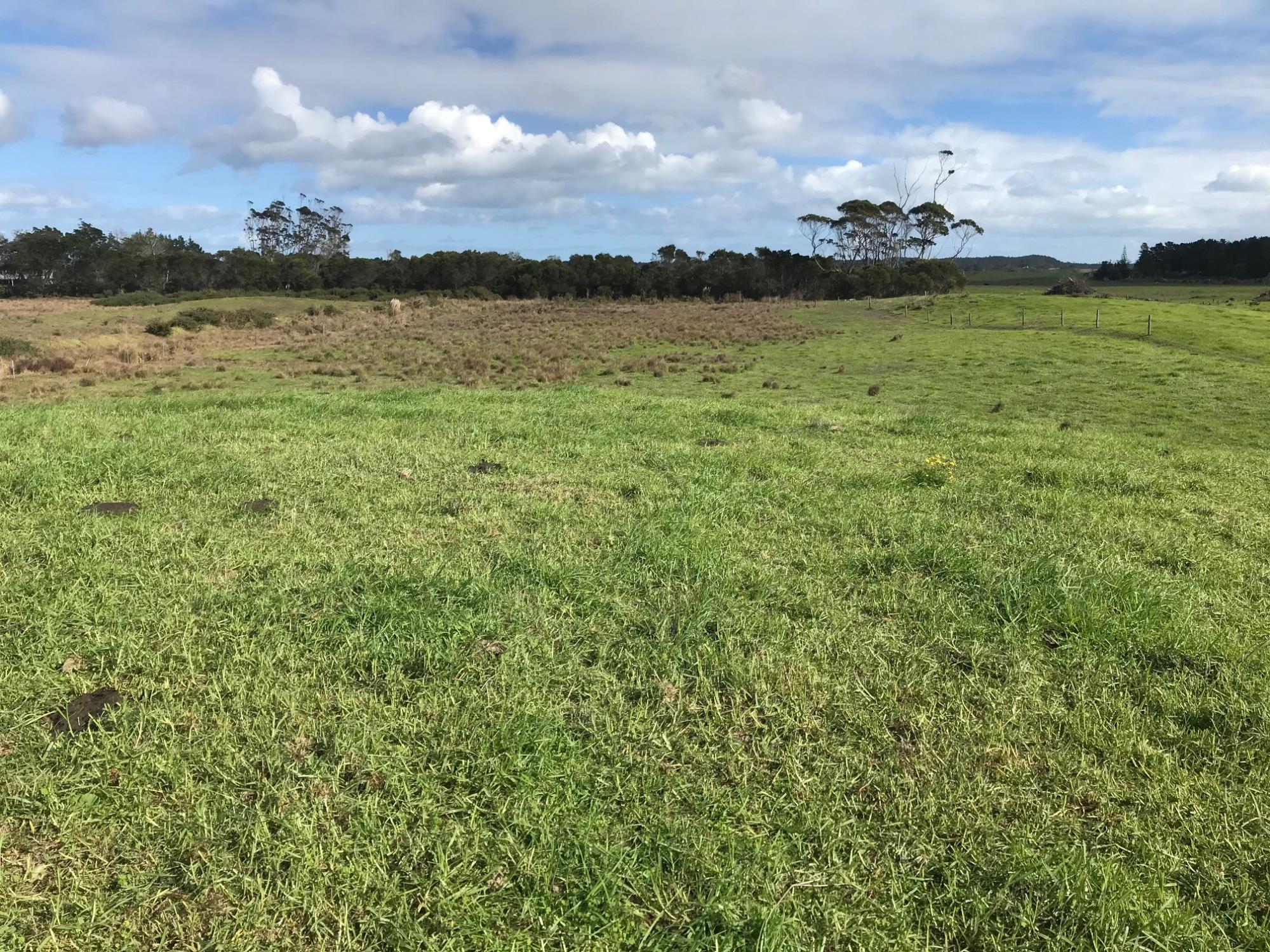 State Highway 1, Mangamuka, Far North, 0房, 1浴