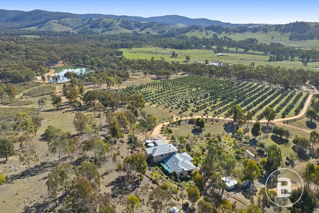 42 Wild Grape Road, Redbank, VIC 3477