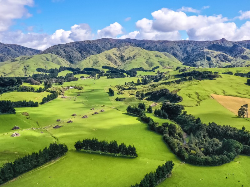 1091 Kopikopiko Road, Eketahuna, Tararua, 0 rūma, 0 rūma horoi