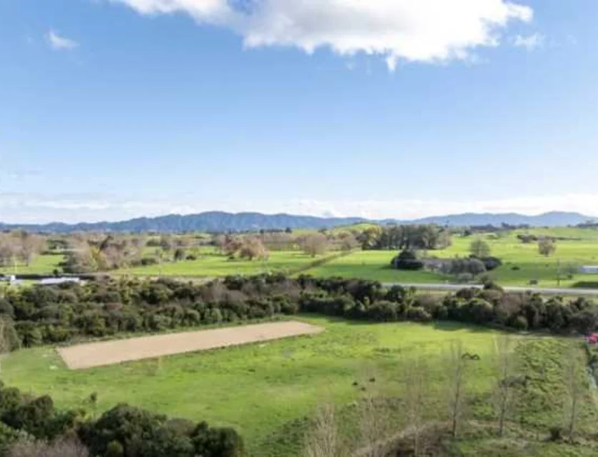 54 Lake Road, Hamilton, Waikato, 1房, 1浴, 建地
