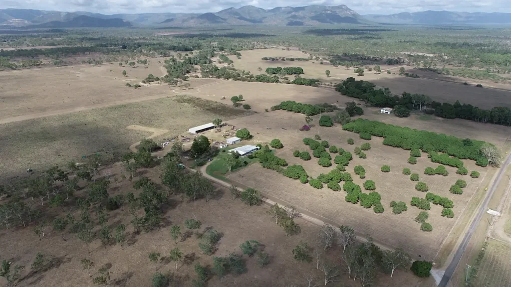 Woodstock  "LindaLotte" 1,052 Acres* - (Freehold) Prime Farming & Cattle Grazing Opportunity Only 30min* to Townsville