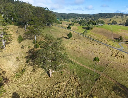 1/400 Bellthorpe West Road, Bellthorpe, QLD 4514, 0房, 0浴, Lifestyle Property