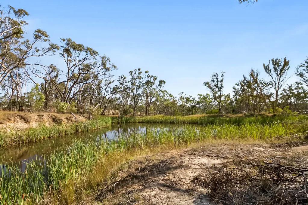 Uralla Your Private Bush Escape – 2.31 Hectares, Only Minutes from Uralla