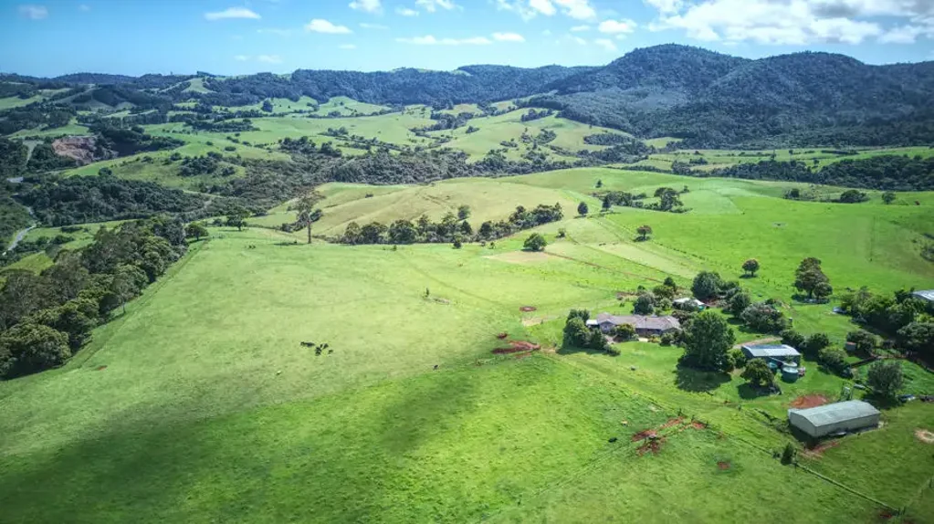 Dorrigo  Vendors Retiring & Committed to Selling Having Found a Property to Move to - All Offers Will be Considered