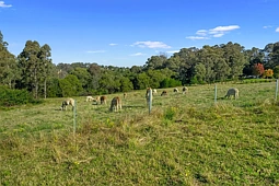 396 Comleroy Road, Kurrajong