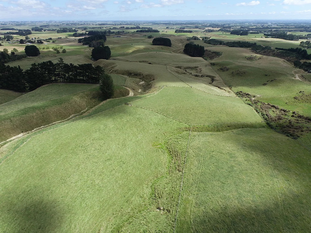 Linton First or Last Farm