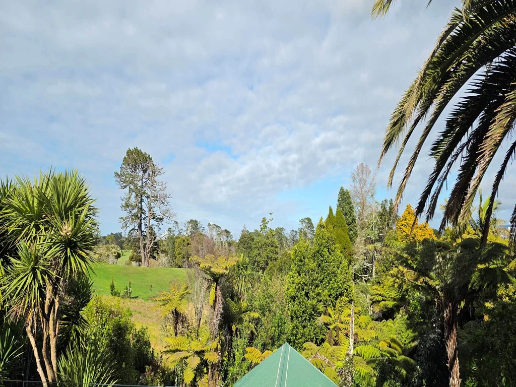Mount Roskill 3બેડરૂમ Location + Lifestyle