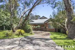 20 Wilson Avenue, Bittern