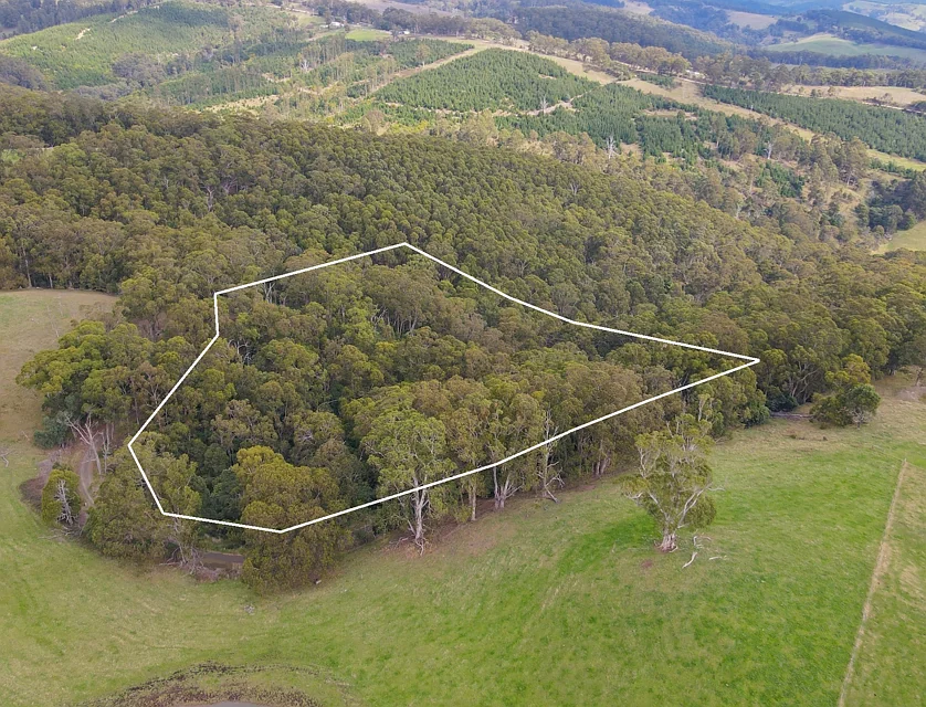 LOT CA41A Powers Hill Road, Willung South, Traralagon , 0 Bedrooms, 0 Bathrooms, Section