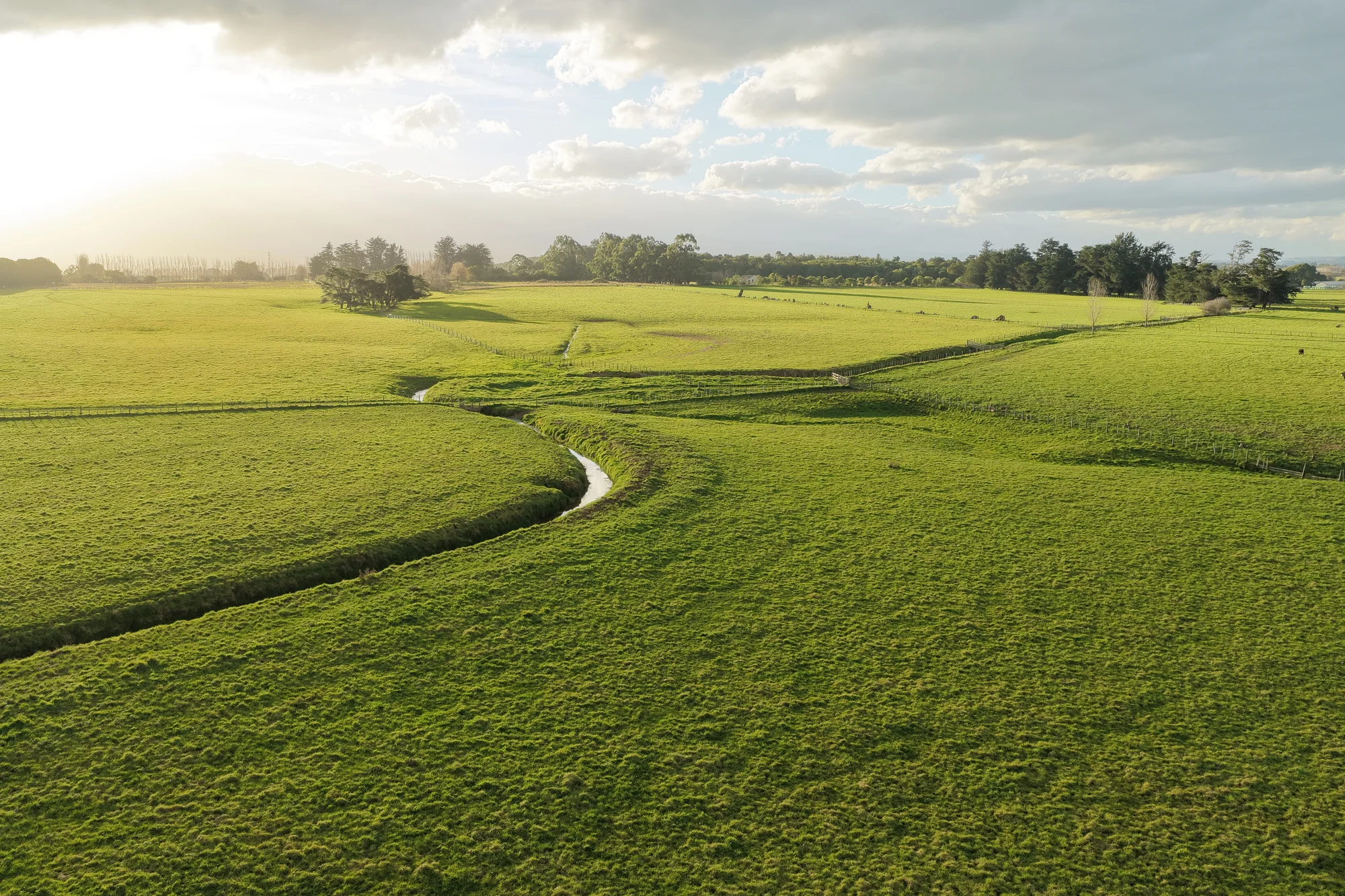 Carterton  Spaxton Farm