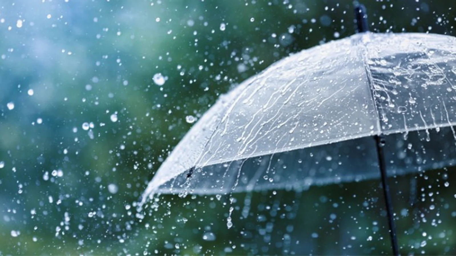 暴雨预警：奥克兰将迎风雨交加，洗衣晾晒挑好时机