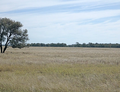 351 Hannaford Road, Hannaford, Darling Downs, 3 habitaciones, 2 baños, Lifestyle Property