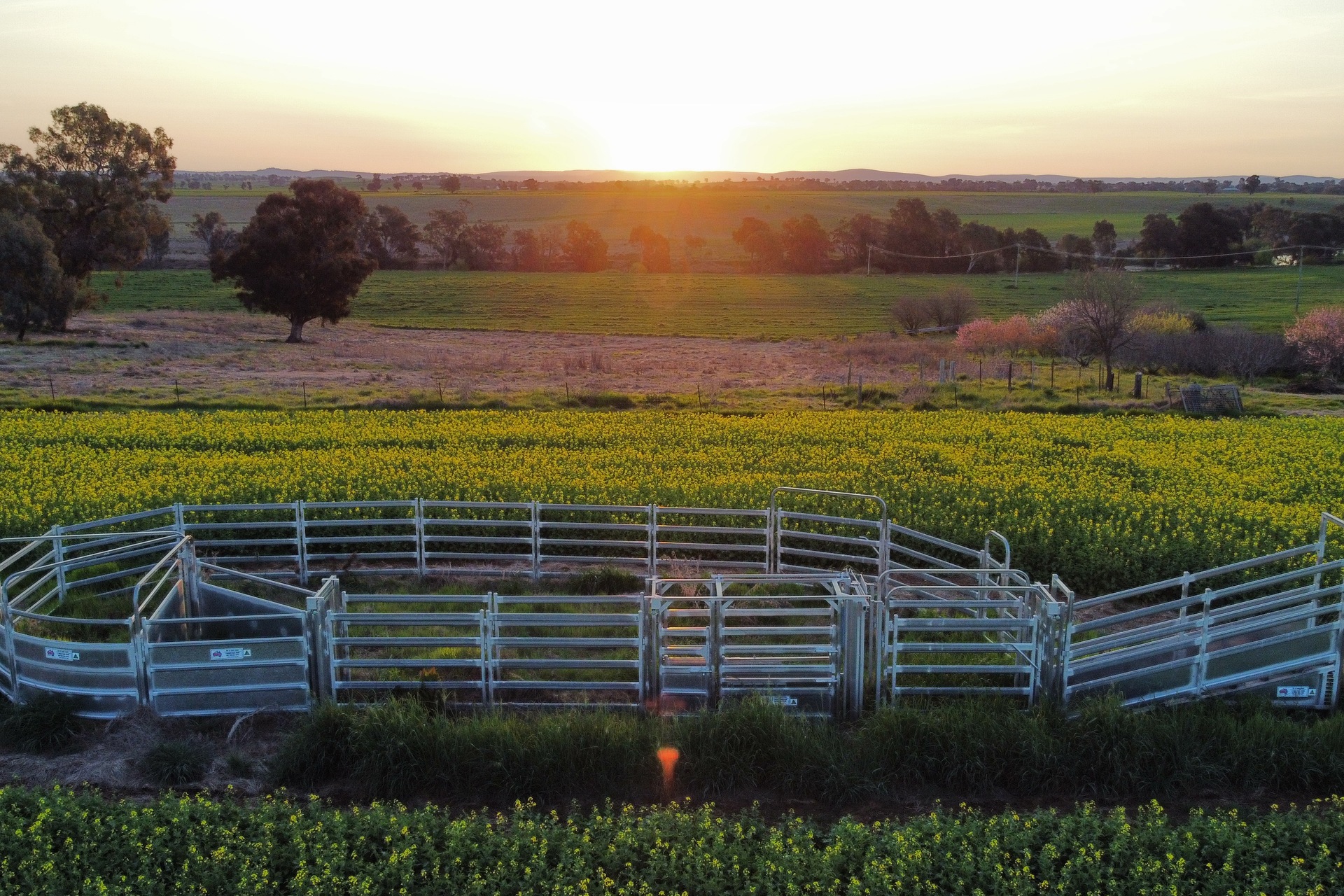 1 CUDGELO LANE, COWRA NSW 2794, 0房, 0浴, Lifestyle Property