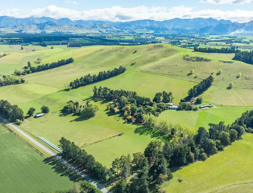 36 Christians Road, Hawarden, Hurunui, Canterbury, 4房, 2浴, 养殖