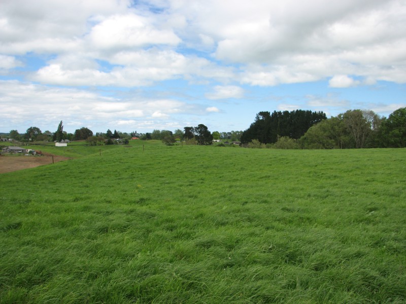 58 Scott Road, Putaruru, South Waikato, 4 rūma, 0 rūma horoi