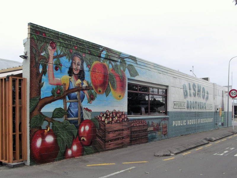 119 Farrington Avenue, Bishopdale, Christchurch, 0 રૂમ, 0 બાથરૂમ