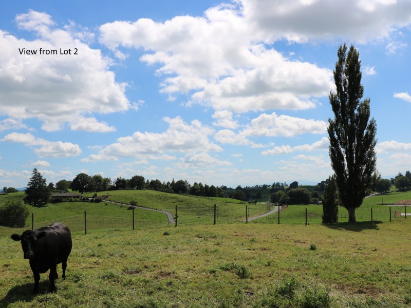 Taumangi Road, Putaruru, South Waikato, 0 ਕਮਰੇ, 1 ਬਾਥਰੂਮ