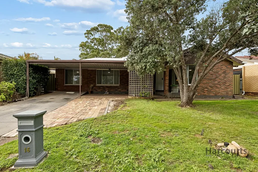 Stunningly Renovated Family Home Opposite Reserve