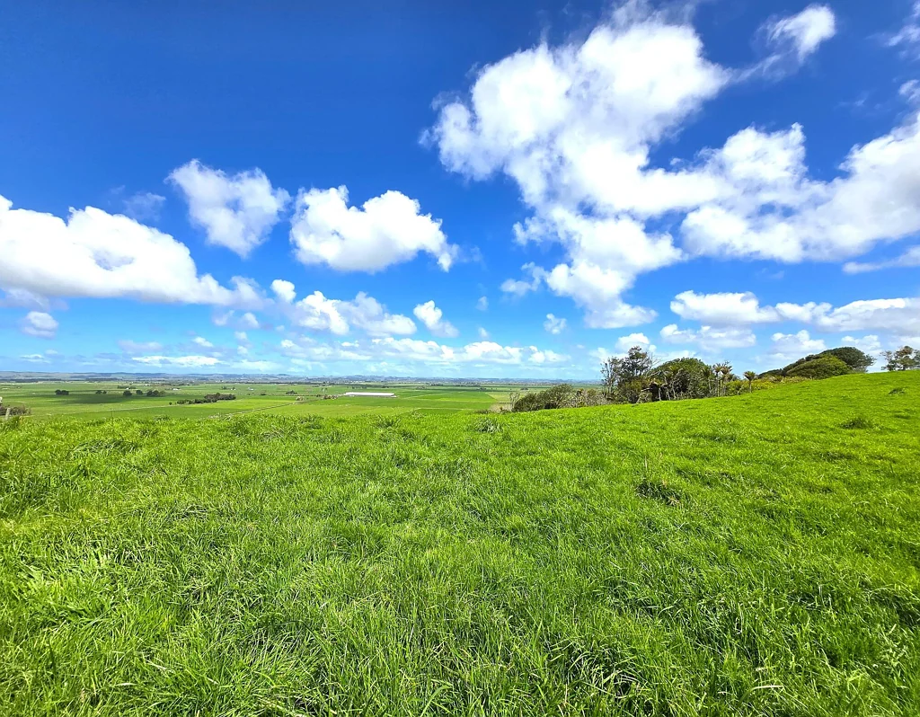 Ruawai Best Views in Town