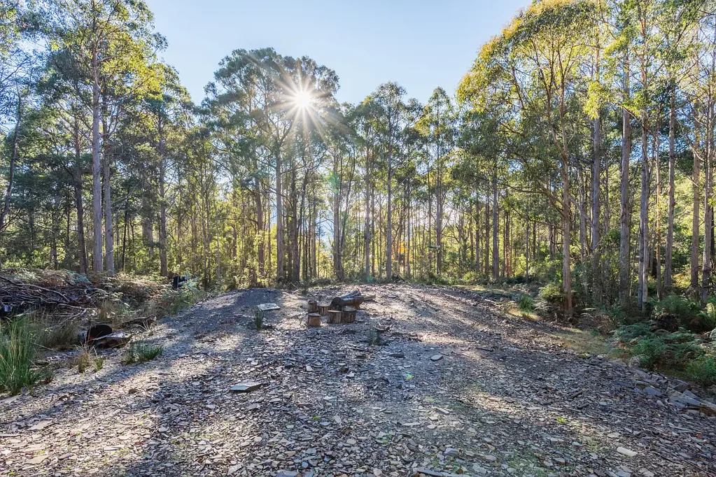 Sandfly Are you searching for a peaceful bush retreat?