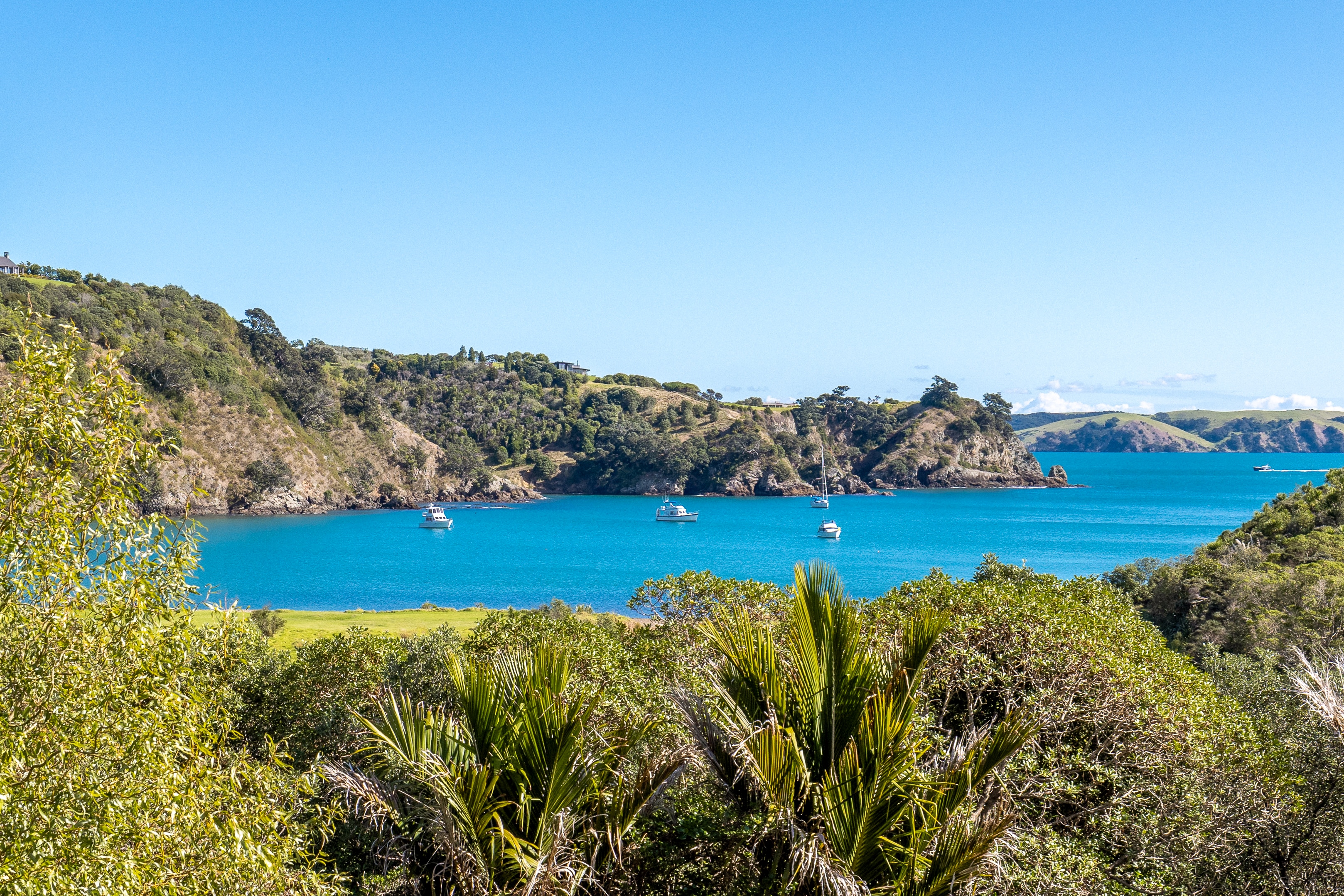 Hauraki Gulf Islands