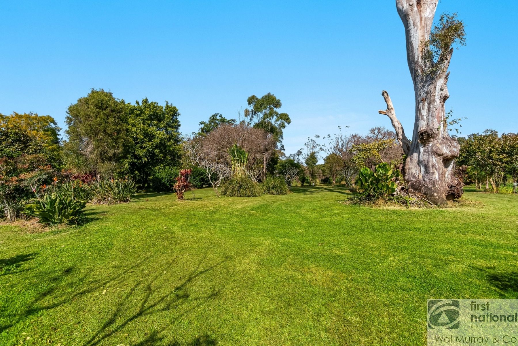 29 SANDY POINT RD, MONALTRIE NSW 2480, 0 Bedrooms, 0 Bathrooms, Lifestyle Property